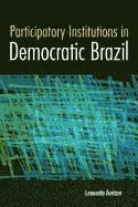 bokomslag Participatory Institutions in Democratic Brazil