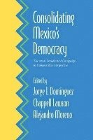 Consolidating Mexico's Democracy 1