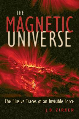 The Magnetic Universe 1