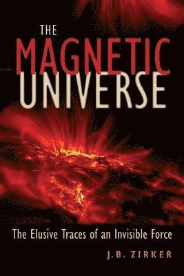 bokomslag Magnetic Universe