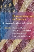 bokomslag Democratization in America