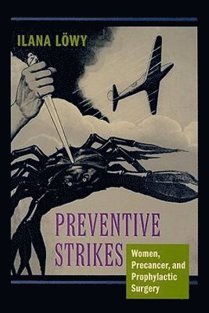 bokomslag Preventive Strikes