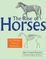 bokomslag The Rise of Horses