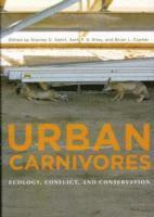 bokomslag Urban Carnivores