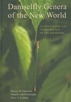 Rosser W. Garrison, Natalia Von Ellenrieder, Rosser W Garrison, Natalia von Ellenrieder, Jerry A Louton - Damselfly Genera of the New World: An Illustrated and Annotated Key to the Zygoptera, Inbunden