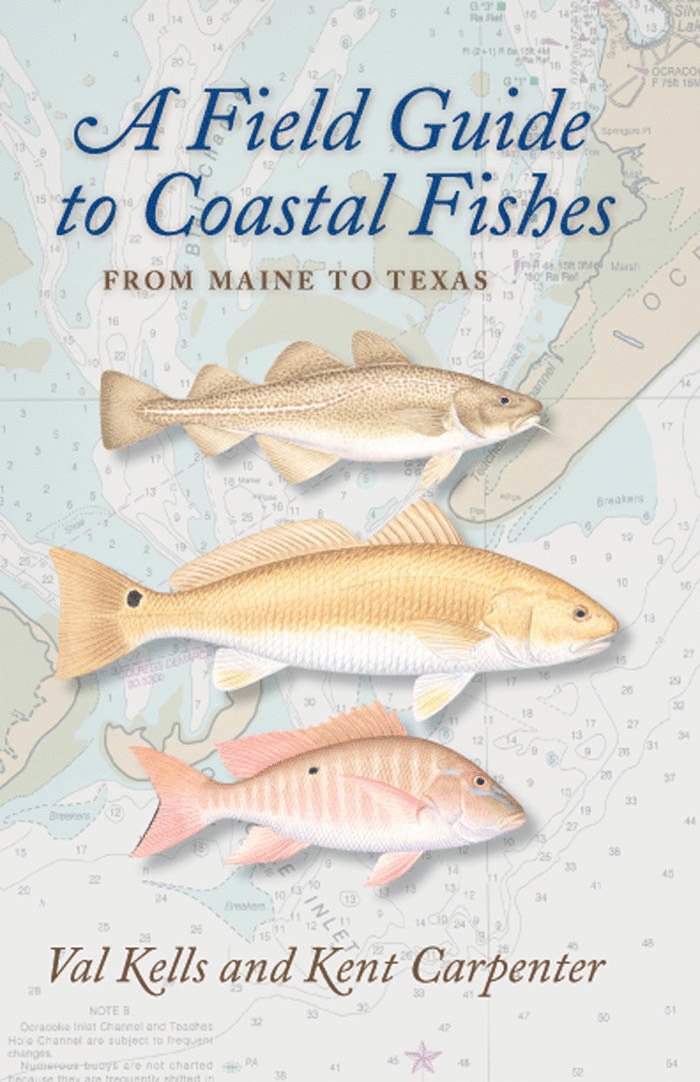 Valerie A. Kells, Kent Carpenter, Old Dominion University) Carpenter, Kent (Professor of Biological Sciences, Valerie A Kells - Field Guide to Coastal Fishes, Häftad