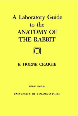 Edward H. Craigie, H. Craigie, Edward, Edward Craigie - A Laboratory Guide to the Anatomy of The Rabbit: Second Edition, Häftad