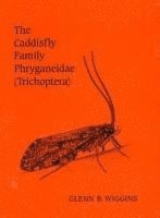 bokomslag The Caddisfly Family Phryganeidae (Trichoptera)