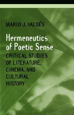 Mario Valdes - Hermeneutics of Poetic Sense, Inbunden