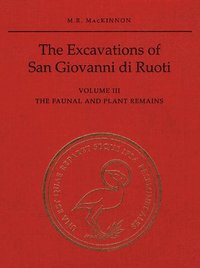 bokomslag The Excavations of San Giovanni di Ruoti