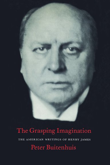 bokomslag Grasping Imagination