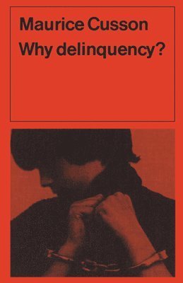 Why Delinquency? 1