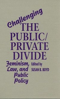 bokomslag Challenging the Public/Private Divide