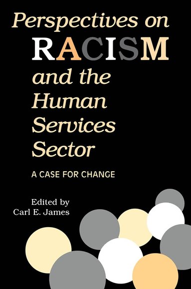 bokomslag Perspectives on Racism and the Human Services Sector