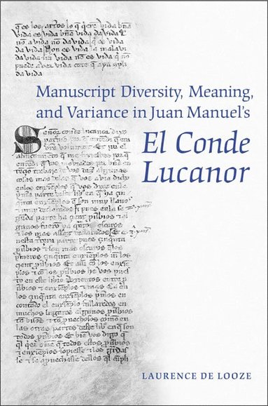 bokomslag Manuscript Diversity, Meaning, and Variance in Juan Manuel's El Conde Lucanor