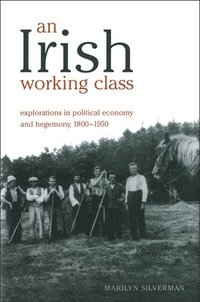 bokomslag An Irish Working Class