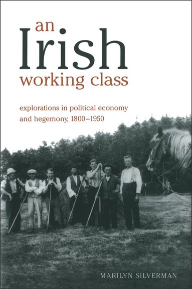 Marilyn Silverman - Irish Working Class, Häftad
