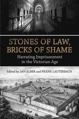bokomslag Stones of Law, Bricks of Shame