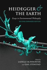 bokomslag Heidegger and the Earth