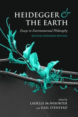 Heidegger and the Earth 1