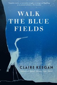 bokomslag Walk the Blue Fields