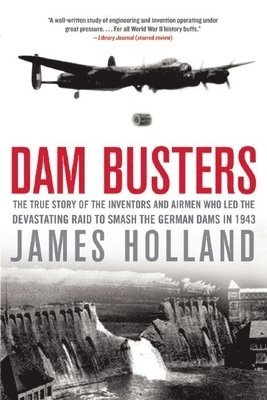 bokomslag Dam Busters