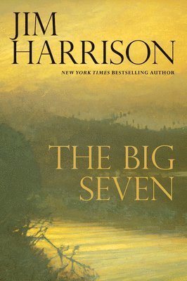 bokomslag The Big Seven