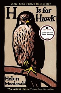 bokomslag H Is for Hawk