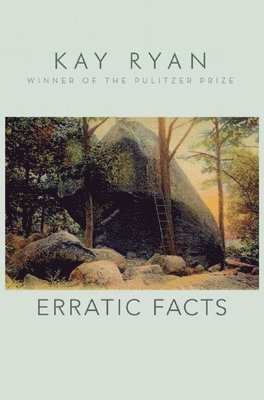 Kay Ryan - Erratic Facts, Häftad