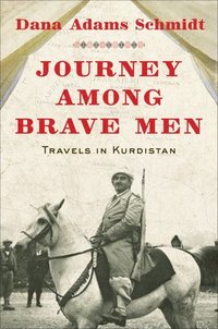 bokomslag Journey Among Brave Men