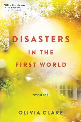 Disasters in the First World 1