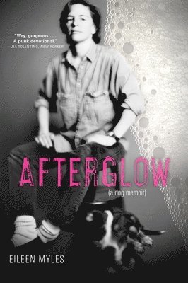 Eileen Myles - Afterglow (a Dog Memoir), Häftad