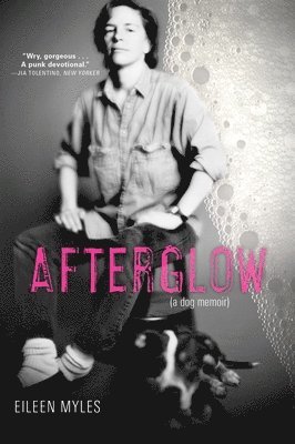 bokomslag Afterglow (a Dog Memoir)