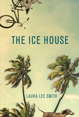 The Ice House 1
