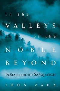 bokomslag In the Valleys of the Noble Beyond