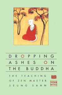 bokomslag Dropping Ashes on the Buddha