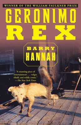 Barry Hannah - Geronimo Rex, Häftad
