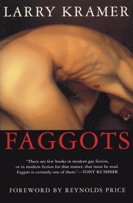 bokomslag Faggots