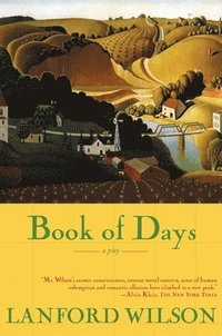 bokomslag Book of Days