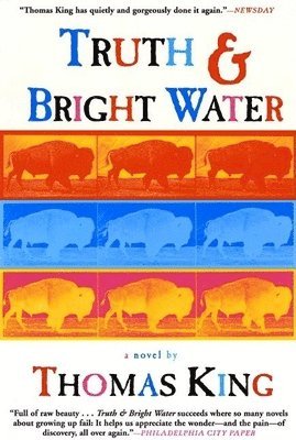 bokomslag Truth and Bright Water