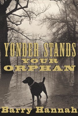 Barry Hannah - Yonder Stands Your Orphan, Häftad