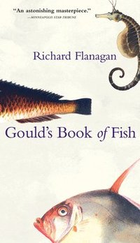 bokomslag Gould's Book of Fish