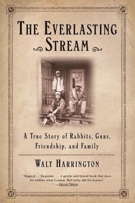 Walt Harrington - Everlasting Stream, Häftad