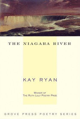 The Niagara River 1