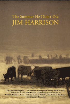 Summer He Didn't Die