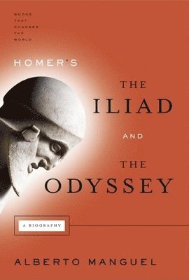 bokomslag Homer's the Iliad and the Odyssey