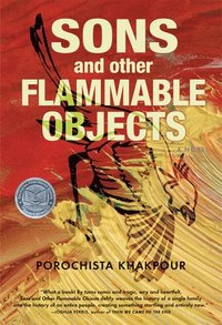 bokomslag Sons and Other Flammable Objects
