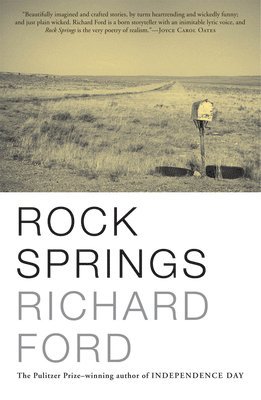 bokomslag Rock Springs