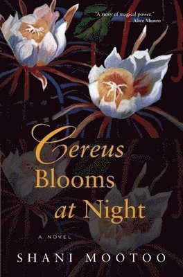 Cereus Blooms at Night 1