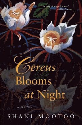 Cereus Blooms at Night